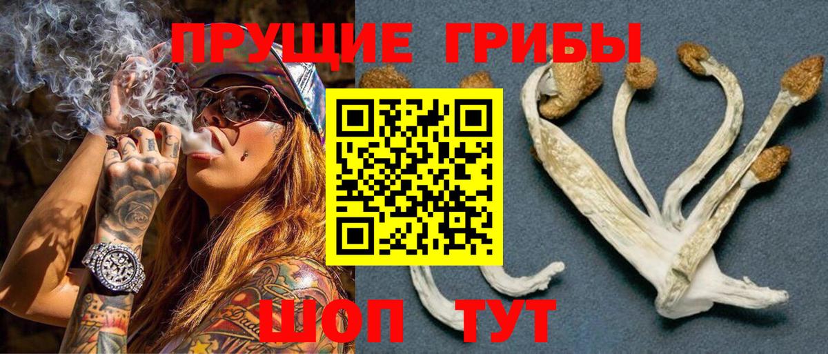 Псилоцибиновые грибы MAGIC MUSHROOMS  Вход с VPN  Приморско-Ахтарск 